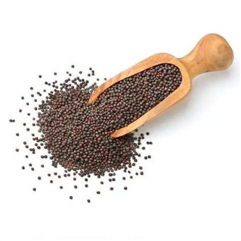 Gunvika Black Mustard Seeds Big | Black Mustard Rai Seeds - 100 gm