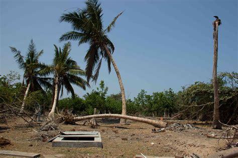 In Tamil Nadu, the aftermath of Cyclone Gaja has shaken a strong AIADMK ...