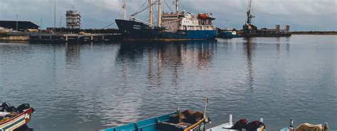 Relish Traditional Kerala Food in Munnar with Pikme | Authentic ...