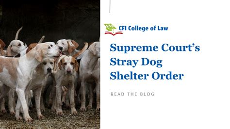 Understanding IPC vs CrPC vs CPC – Easy Breakdown for Law Students