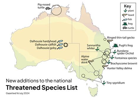 Fish in outback SA's Witjira-Dalhousie Springs added to threatened species list - ABC News