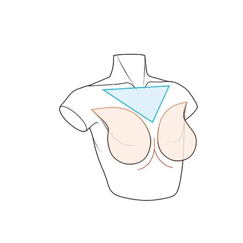 Tips for drawing women: how to draw breasts Part 1 - Anime Art Magazine