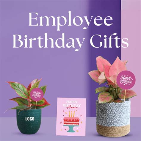 Employee Birthday Gifts for Corporates – Greenkin