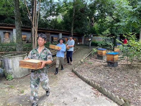 蜂巢基金支持纪录片下一步拟拍摄蜜蜂产业，欢迎有关方面联系- 中国生物多样性保护与绿色发展基金会
