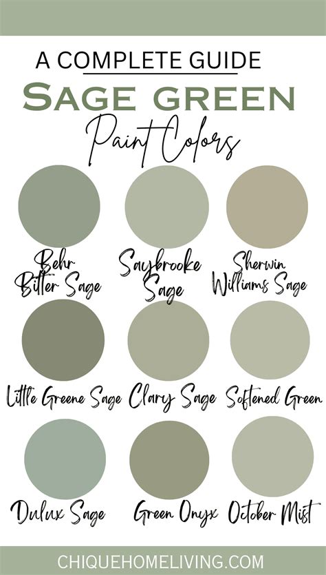 Sage Green Tester Paint at Samantha Hanlon blog