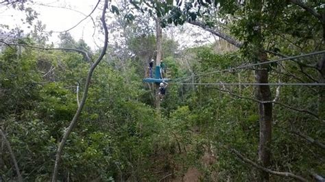 ZIP-ITT Adventure Tours (Chaguaramas) - All You Need to Know BEFORE You Go
