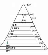 海拔 的图像结果