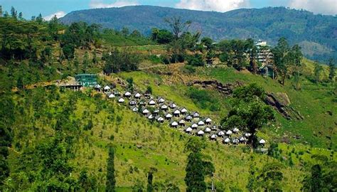 Pidurutalagala In Nuwara Eliya Tour With A Perfect Guide For Explorers