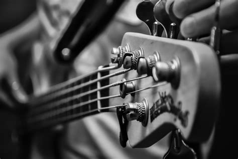 Image result for Music Instruments Black and White