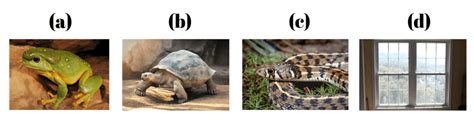 Class 3 Science - Living and Non Living Things - CBSE Worksheets