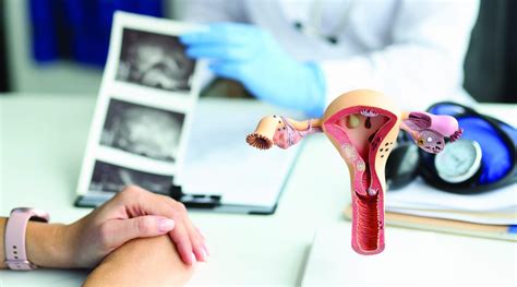 Reproductive Medicine and Anesthesia 的图像结果