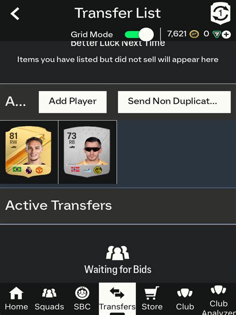Web App 的图像结果