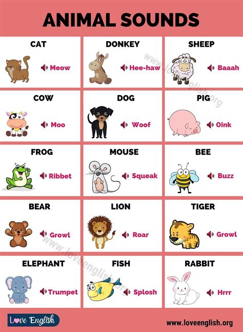 Animal sounds interesting list of animal sounds for kids – Artofit