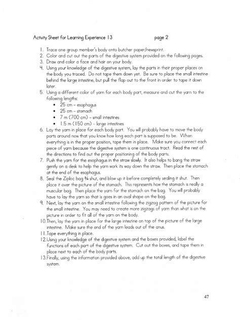 Digestive System Models On Paper Tutorial 的图像结果