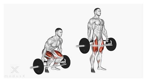 Trap-Bar Deadlifts: Das Kreuzheben mit der Hex-Bar | modusX