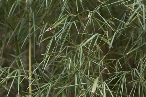 Company Contacts : Parking : Texas State University