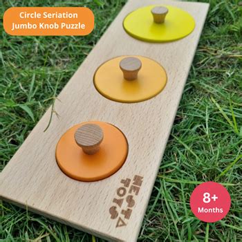 Montessori Wooden Circle Seriation Puzzle | Educational Toy for Babies ...