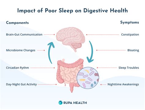 Is Poor Sleep Quality Affecting Your Digestion?