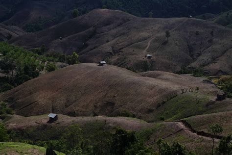 Deforestation 的图像结果