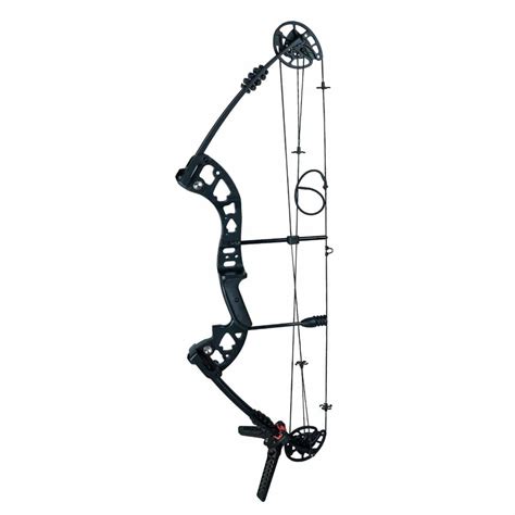 Armor Harpoon Fishing Compound Bow Set - AH-N131 - Archery Equipment ...