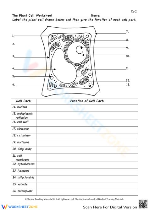 Cell Structure Worksheet PDF 的图像结果