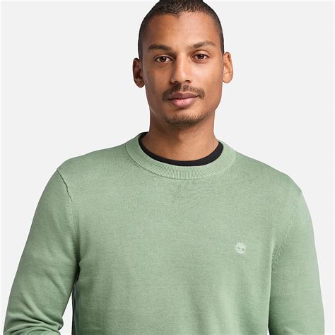 Williams River Cotton Yarn Dyed Jumper for Men in Green