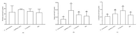 Biochemical and Metabolic Characterization of the Manila Clam Ruditapes ...