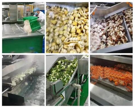 High Quality Industrial Machinery Blanching Machine Vegetable Blanching ...