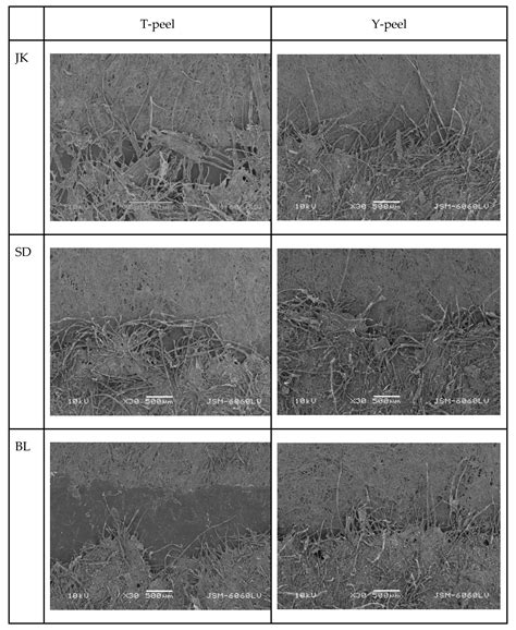 Alternative Fiber-Based Paperboard Adhesion Evaluation with T- and Y ...