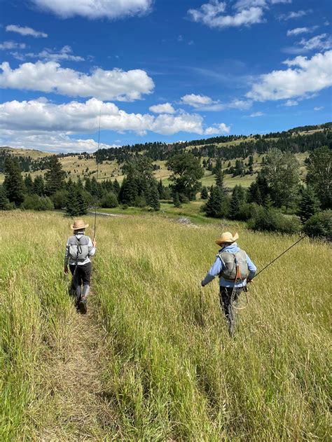 FROM THE CREEL: Provisions and Periphery (review from American Fly Fis ...