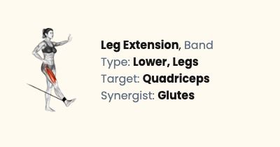 Image result for Using Bands for Leg Extensions