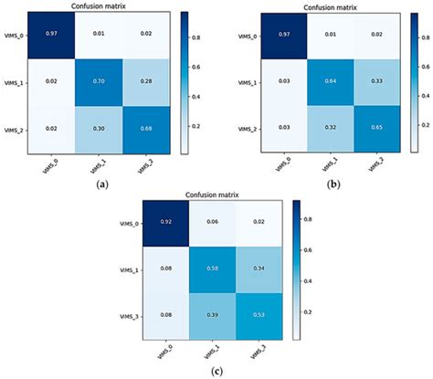 Classification of Visually Induced Motion Sickness Based on Phase ...