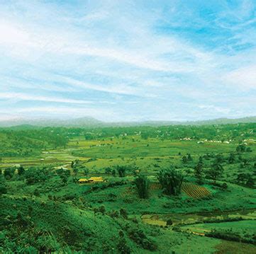 Assam Tourism: Explore The Ultimate Travel Destination