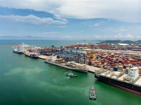 Shanghai is the Biggest Port in the World And Its Interesting Facts ...