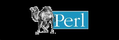 Image result for Perl Programming Languages HD Images