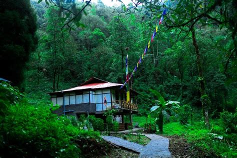 Top 5 homestays in Offbeat Sikkim l OurGuest