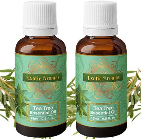 Tea Tree Oil - Buy Tea Tree Oil online at Best Prices in India ...