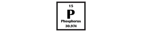 Health Benefits of Phosphorus – Healthy Ageing | Right Shift