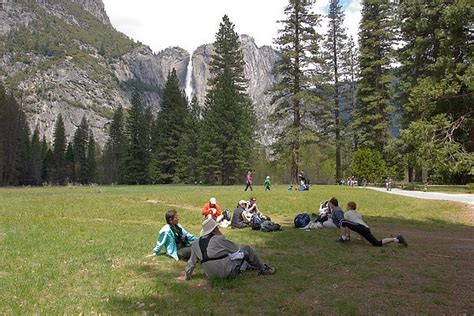 YEXPLORE YOSEMITE ADVENTURES - DAY TOURS (2026) All You Need to Know ...