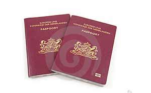与蓝色盖子的被打开的国际护照模板 向量例证. 插画 包括有 男性, 数据, 男人, 图标, 信息, 蓝色 - 135620723