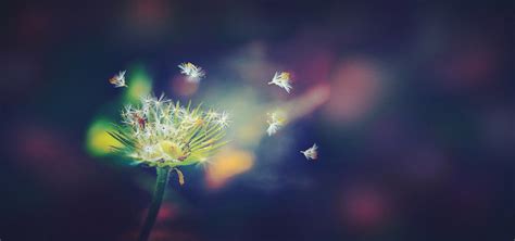 Ppt Background 素材 的图像结果