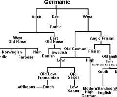 Language Tree Example 的图像结果