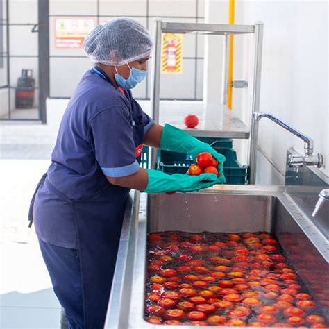 Business & Industry Food Services | Sodexo India Solutions