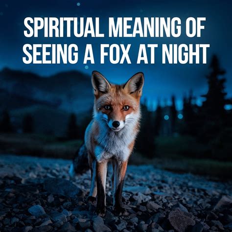 14 Spiritual Meanings of Seeing a Fox at Night: Symbolism Explained