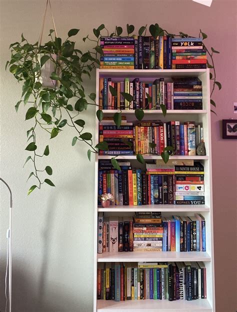 White Book Shelf with Books and Plant