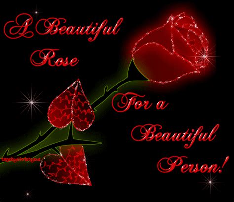 A Beautiful Rose For You! - DesiComments.com