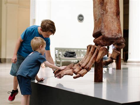 Máximo the Titanosaur | Meer