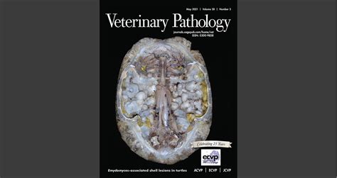 Veterinary Pathology: SAGE Journals