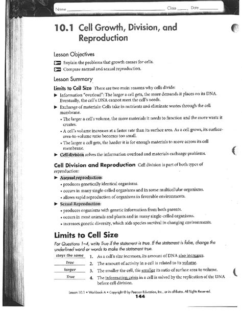 Summarize 3 Major Differences Between Mitosis And Meiosis - Free ...