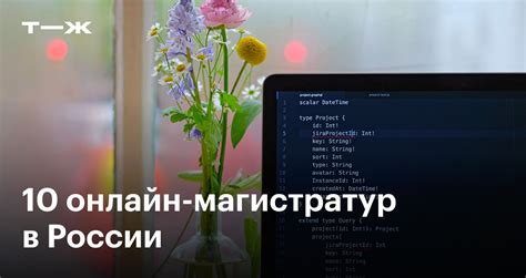 Магистратура Data Science: 10 вузовских курсов по аналитике данных